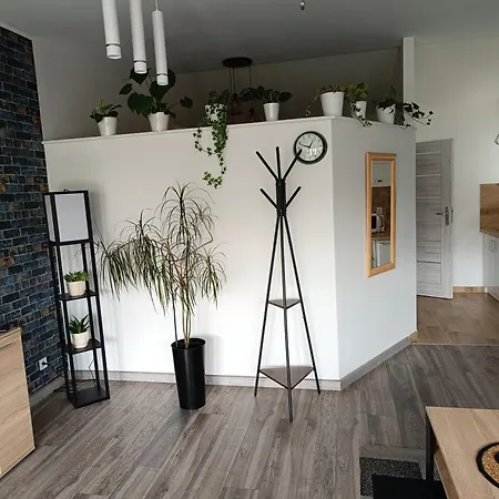 Przy Bialym Koniu * Košalín