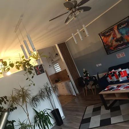 Przy Bialym Koniu Apartment *