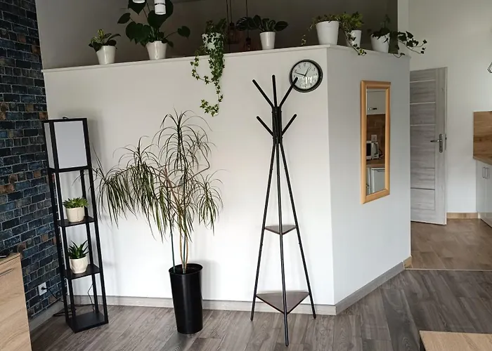 Przy Bialym Koniu * Koszalin